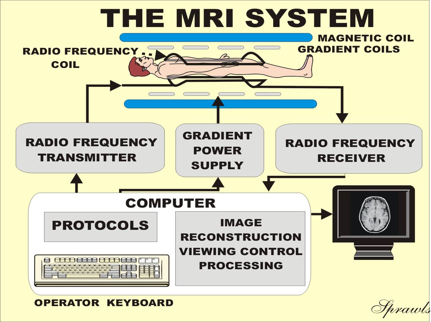 Resonance Imaging