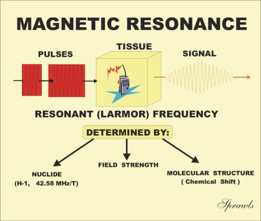 Resonance Imaging