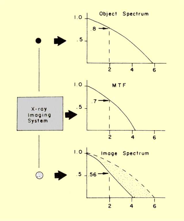 The Relationship of an Image Spatial Frequency Spectrum to the Object Spectrum and the MTF of the Imaging System