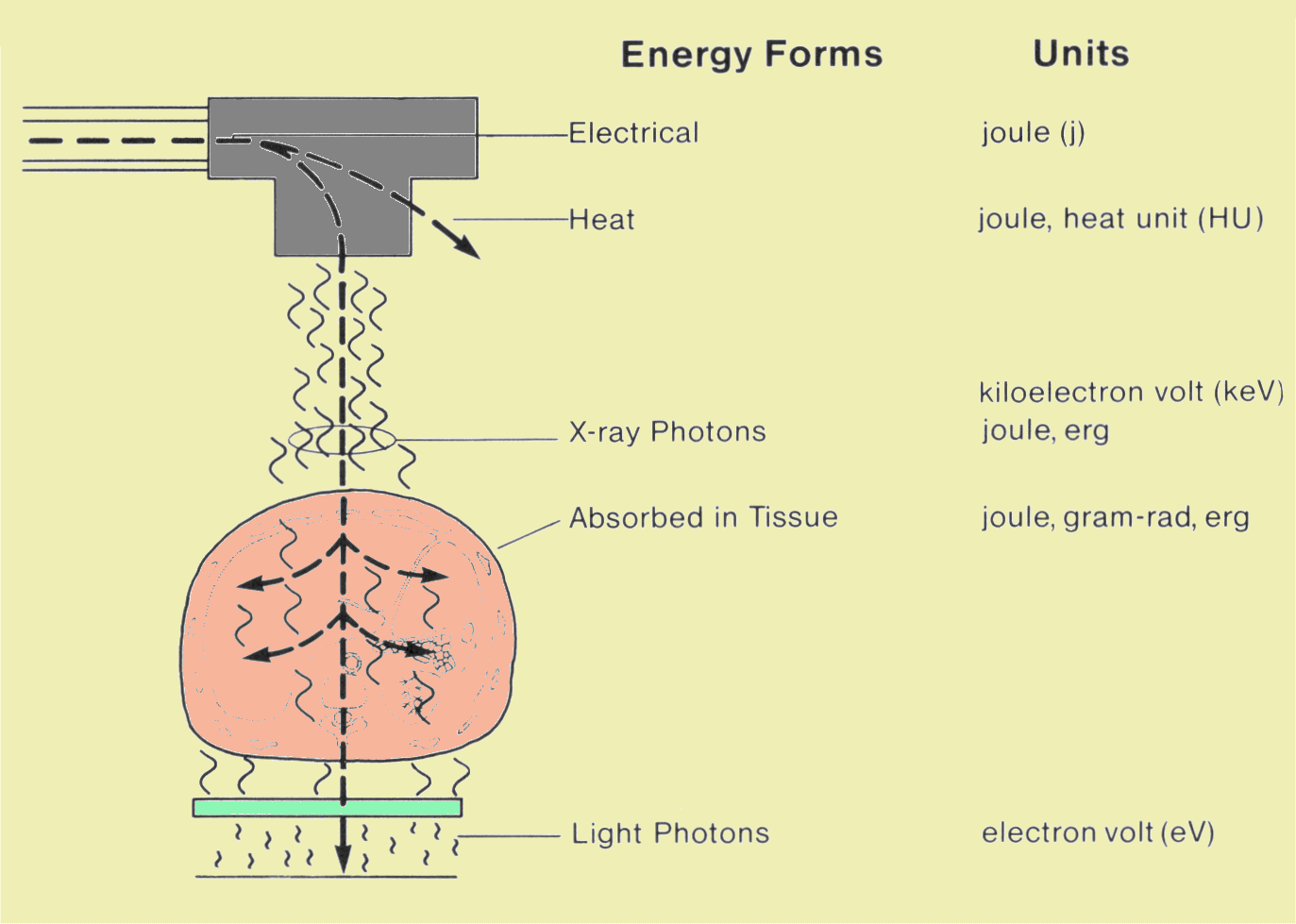 What units are used to express energy?