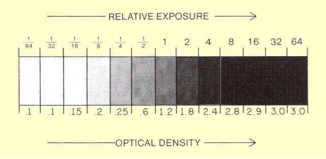 X Ray Film Speed Chart