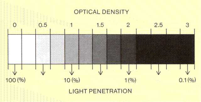 X Ray Film Speed Chart