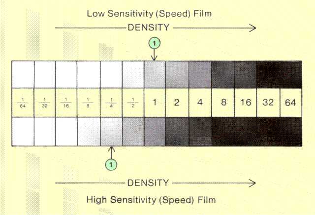 X Ray Film Speed Chart
