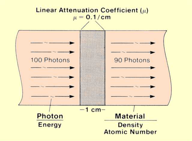 Linear Attenuation Coefficient