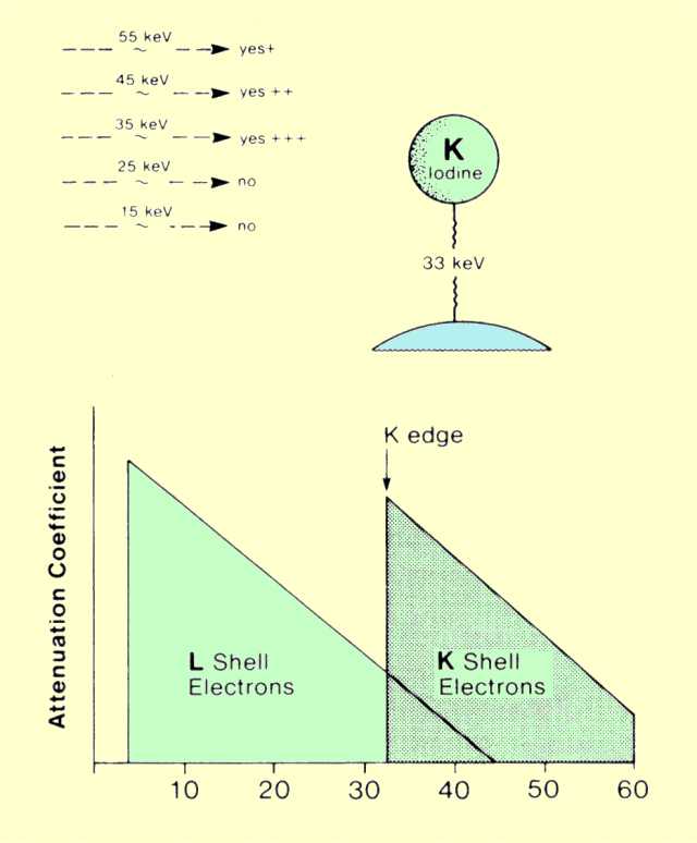 Relationship between the Probability of Photoelectric Interactions and Photon Energy
