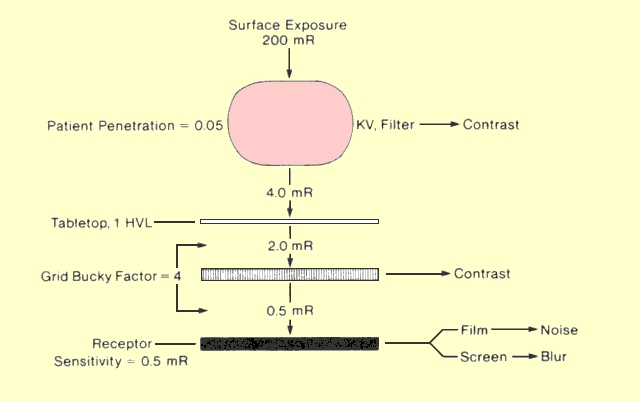 Factors That Determine Exposure Values in Radiography