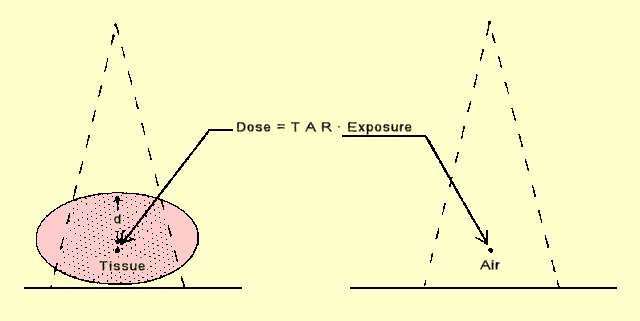 Relationship of Tissue Dose to Air Exposure