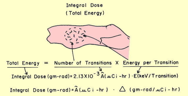 Factors That Determine the Total Amount of Radiation Energy (Integral Dose) Applied to the Patient's Body