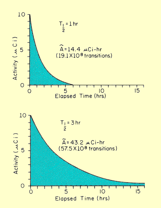 Effect of Radioactive Lifetime on Cumulated Activity