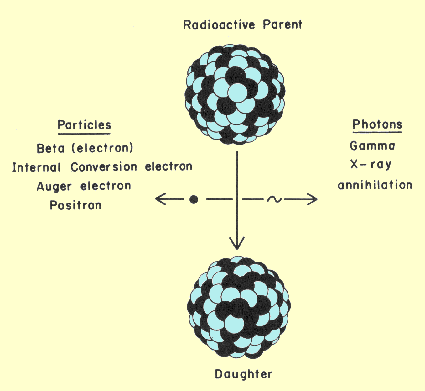 Various Radiations Produced by Radioactive Transitions