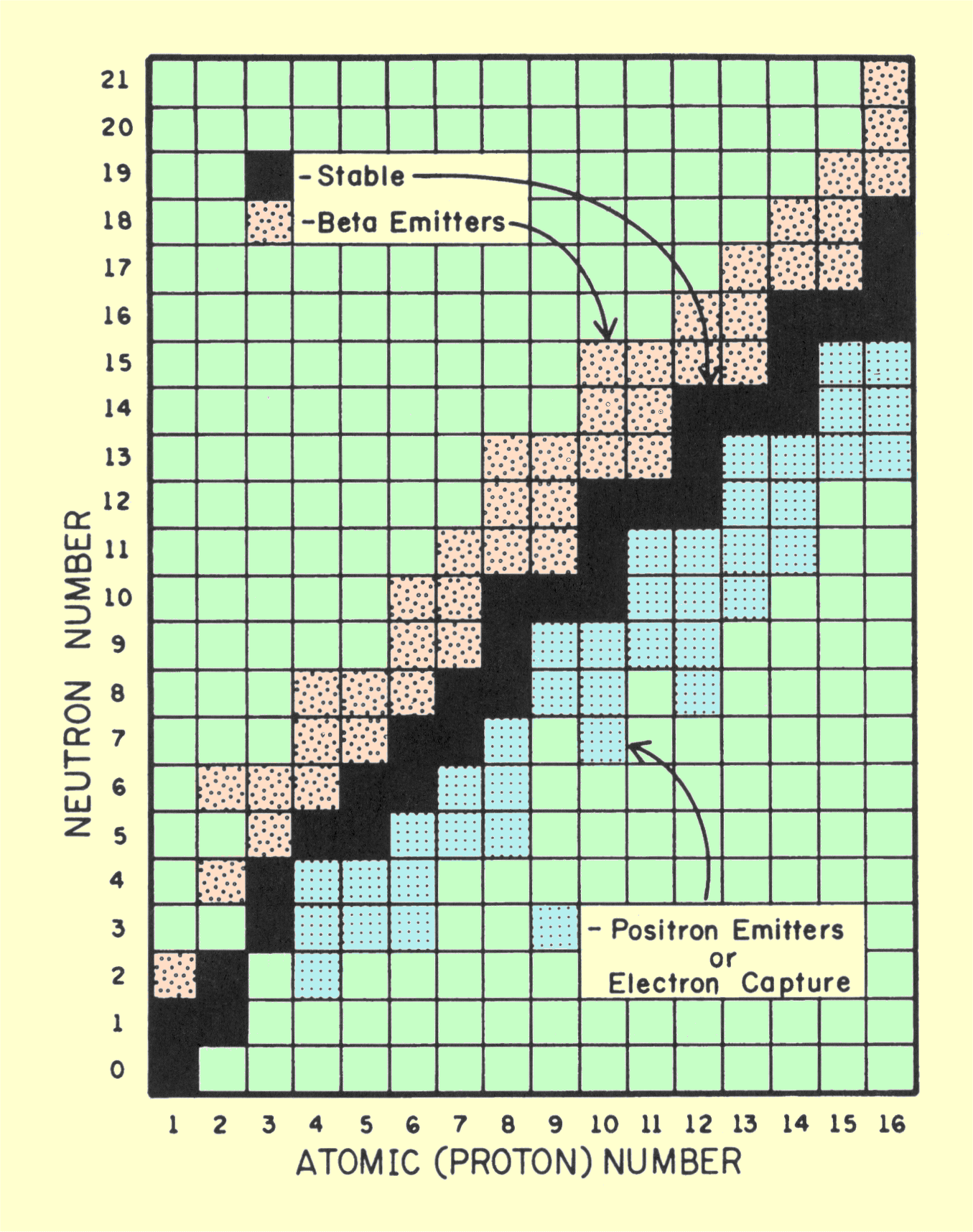 Nuclide Chart Showing the Relationship between Radioactive and Stable Nuclides