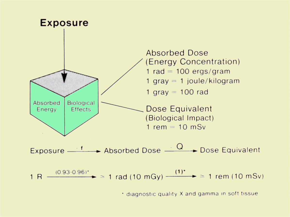 Relationship of Exposure, Absorbed Dose, and Dose Equivalent