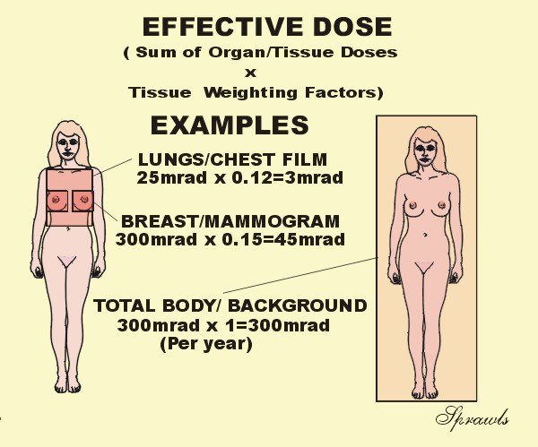 The Concept of Effective Dose