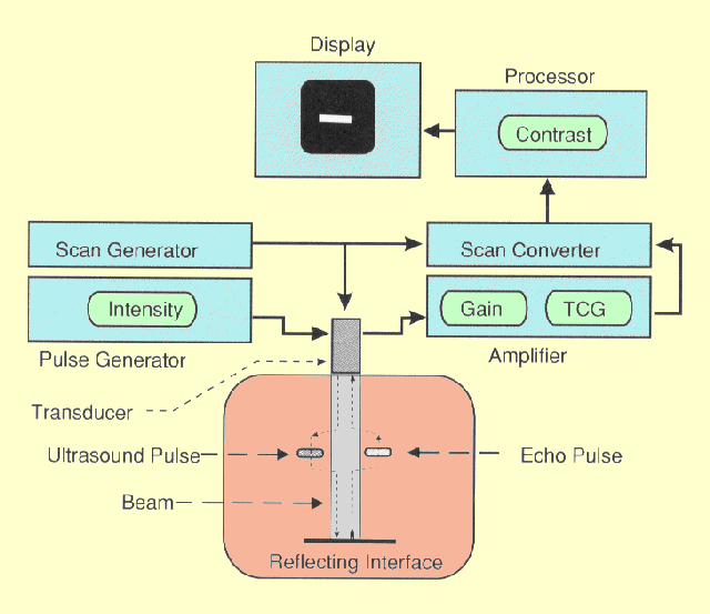 The Principal Components of an Ultrasound Imaging System