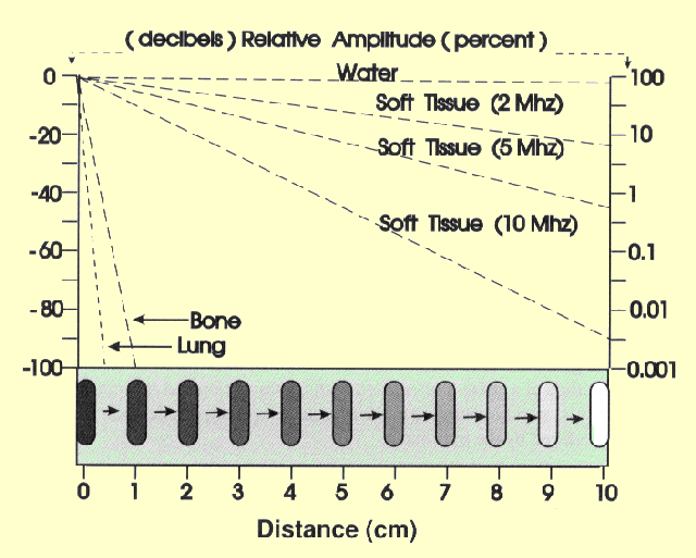 The Effect of Absorption on Ultrasound Pulse Amplitude in Relation to Distance or Depth in the Body