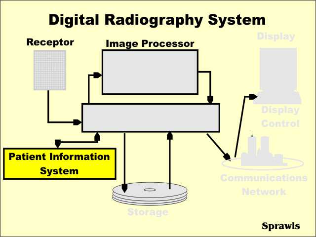 The Patient Information System, perhaps known as the Radiology Information 