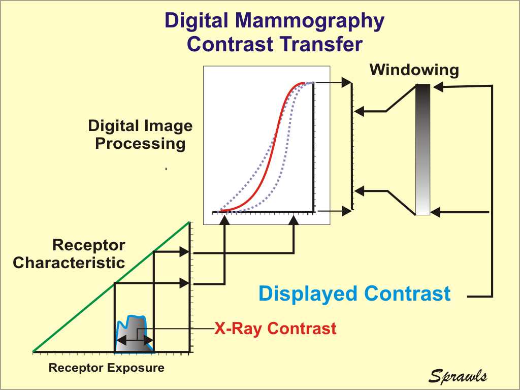 Mammography Exposure Chart