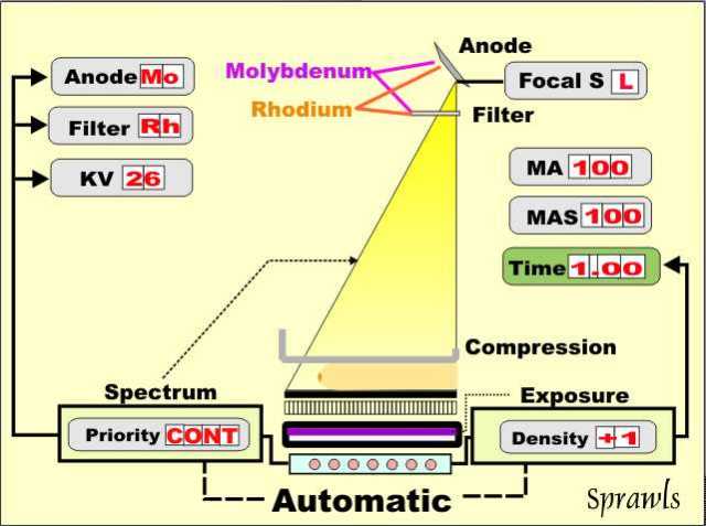 Mammography Exposure Chart